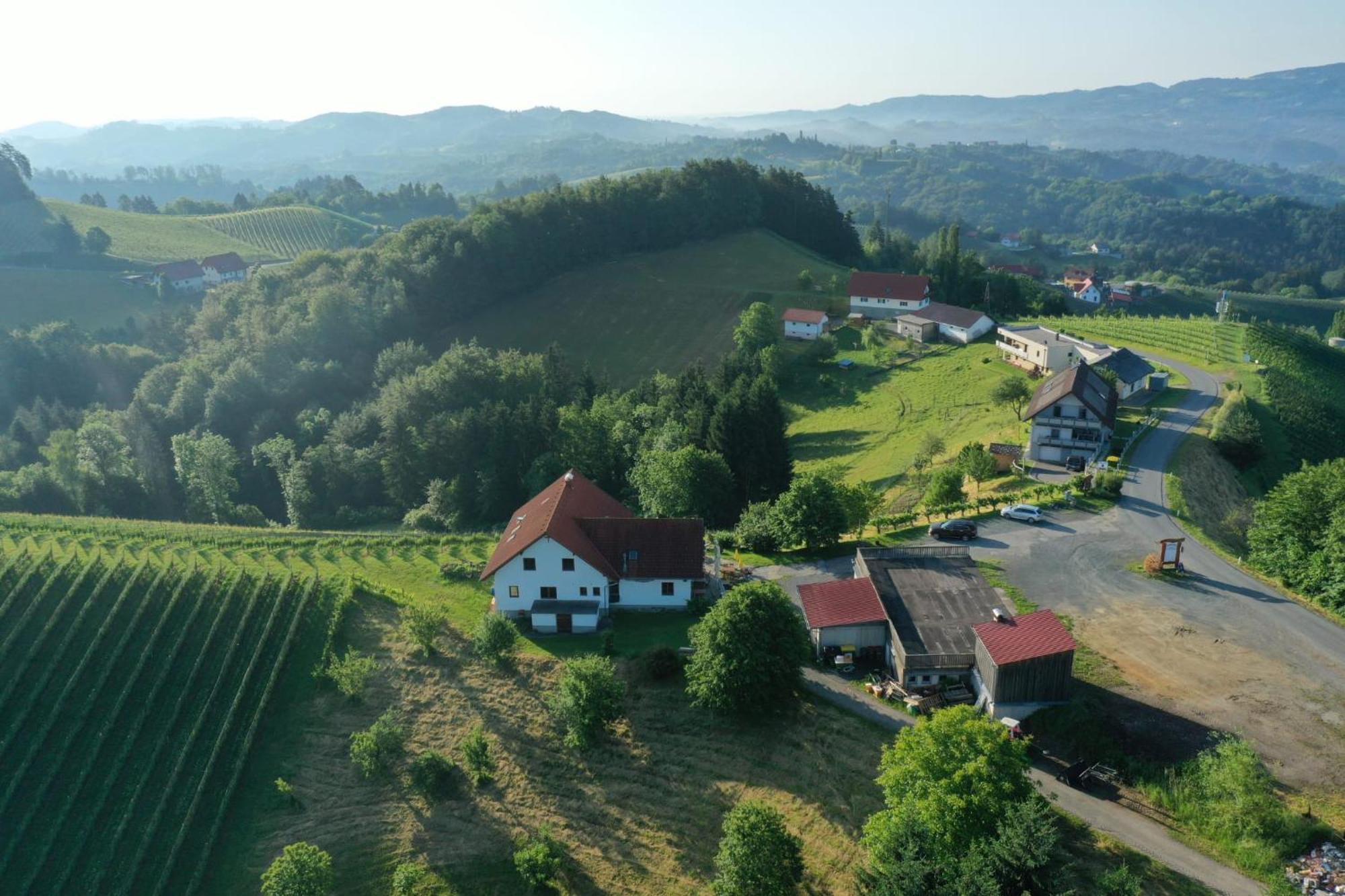 Trautenburg Stub'N 里欧查赫 外观 照片
